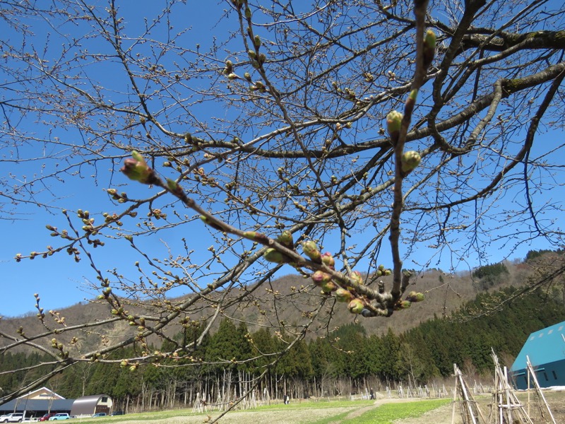 六万騎山登山