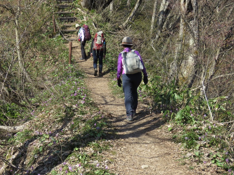 六万騎山登山