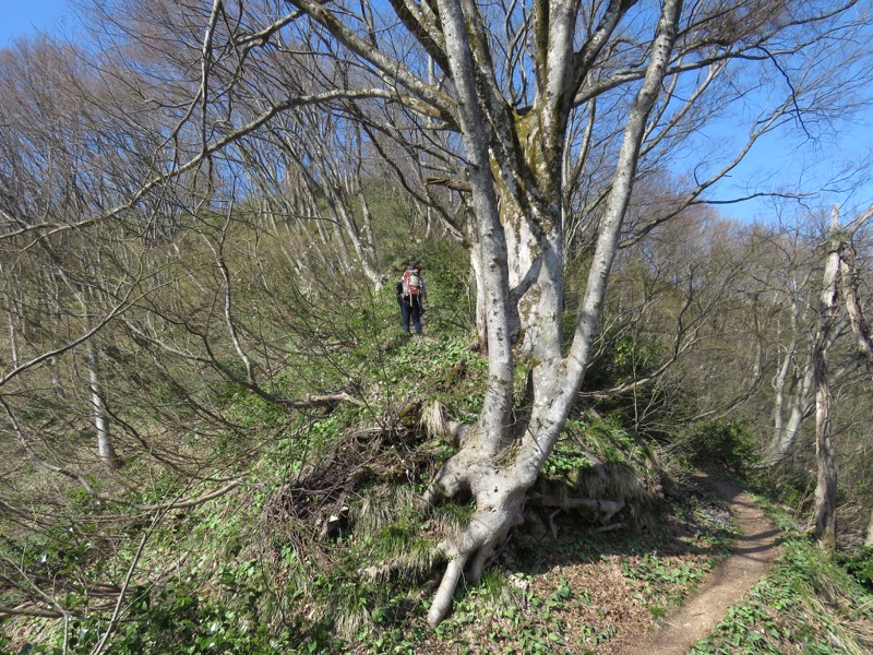 六万騎山登山