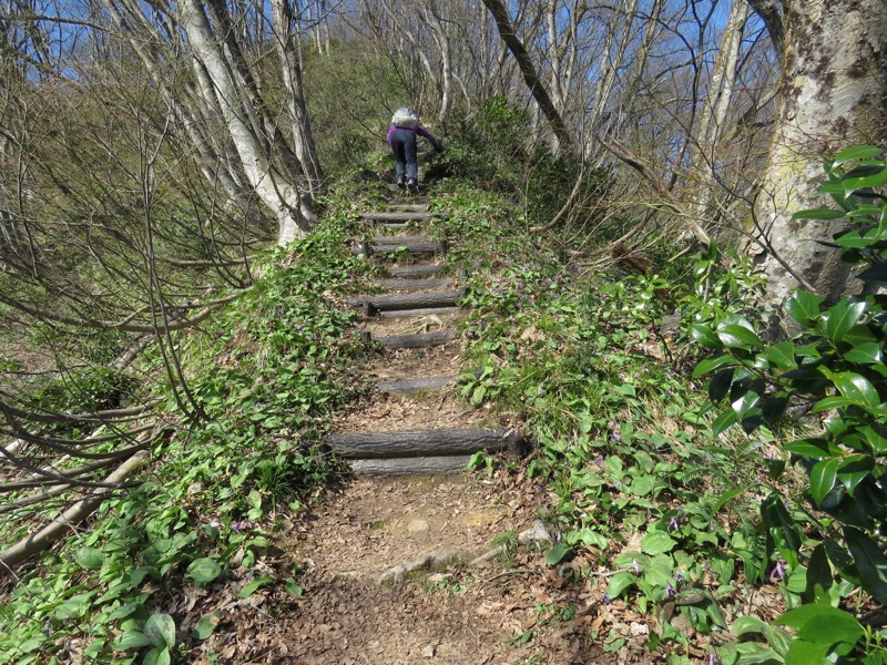六万騎山登山