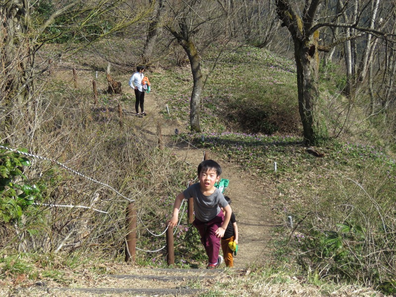 六万騎山登山