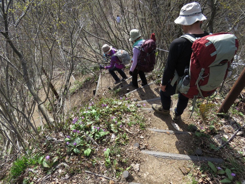 六万騎山登山