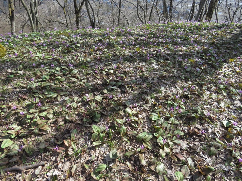六万騎山登山