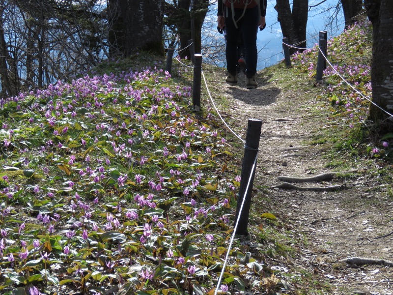 六万騎山登山