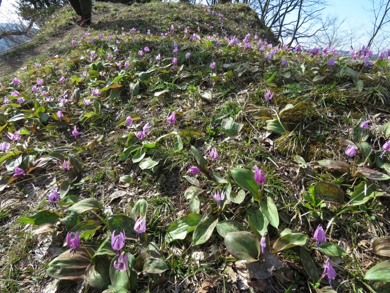 六万騎山登山