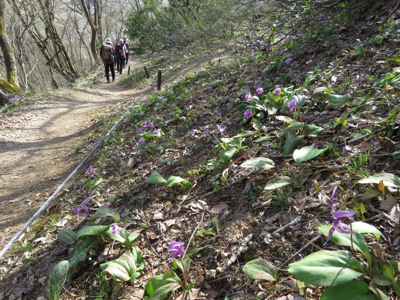 六万騎山登山
