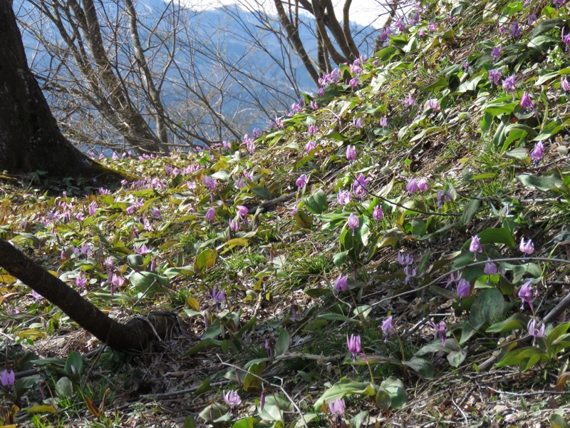 六万騎山登山