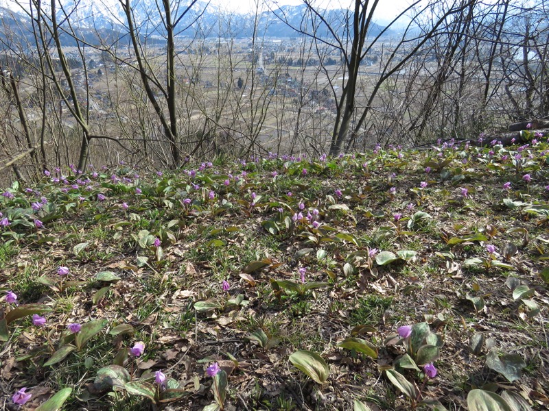 六万騎山登山