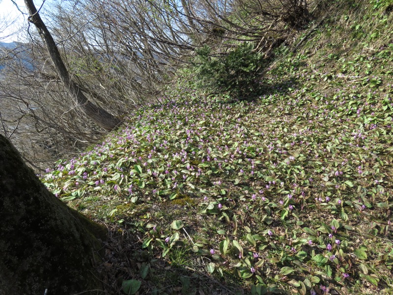 六万騎山登山