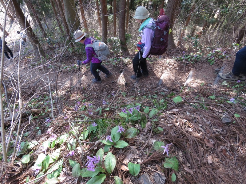 六万騎山登山