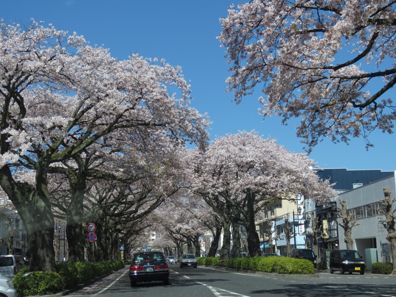 御岩山・登山