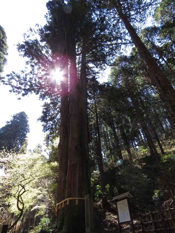御岩山・登山