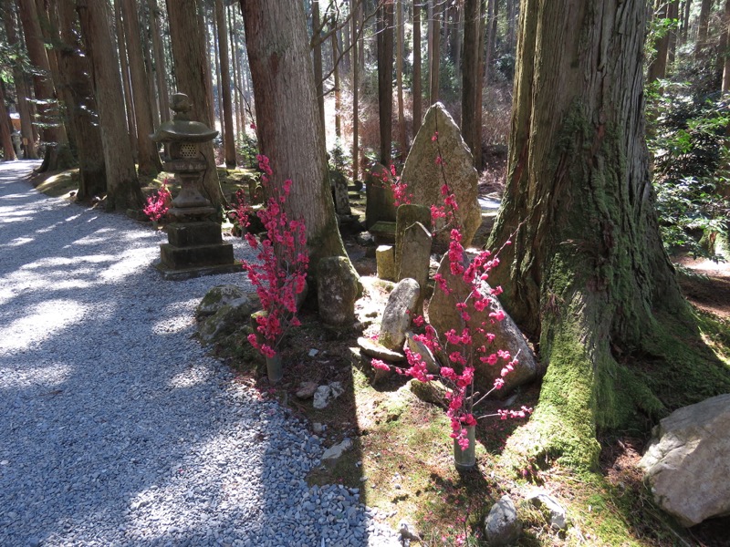 御岩山・登山