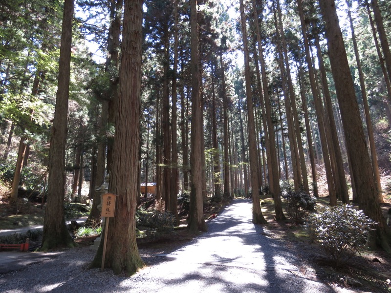 御岩山・登山