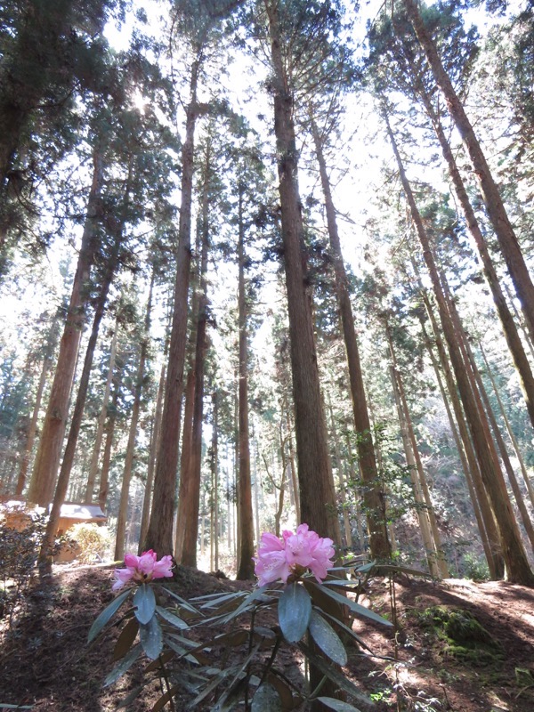 御岩山・登山