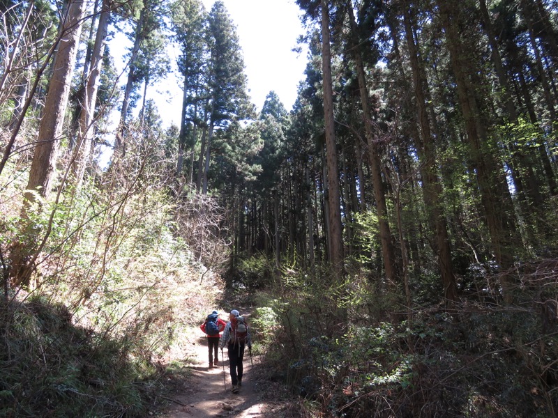御岩山・登山