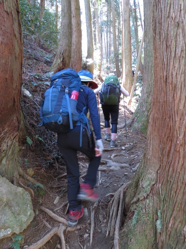 御岩山・登山