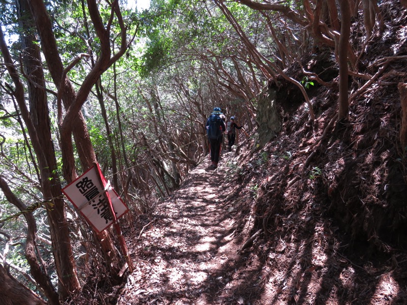 御岩山・登山