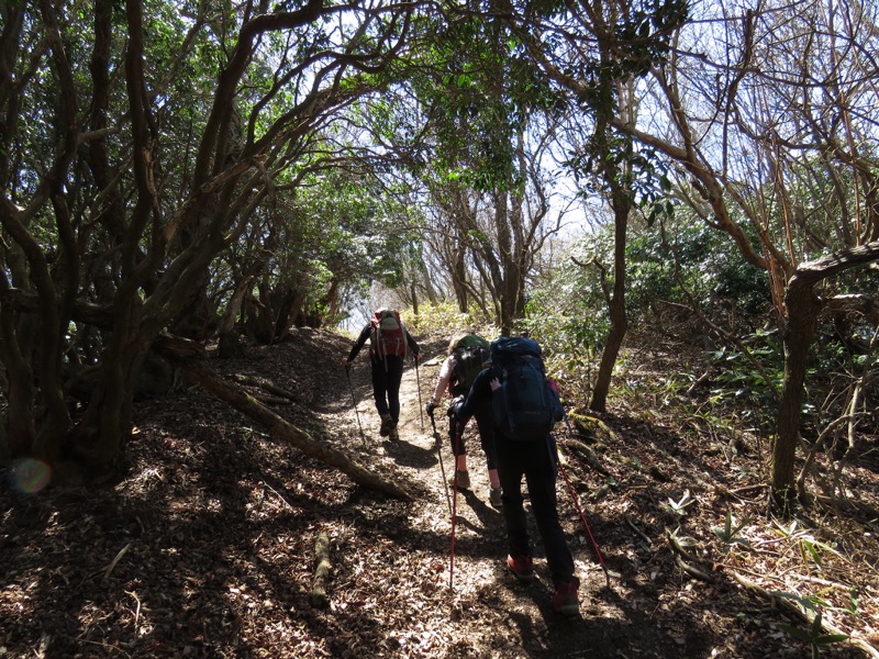 御岩山・登山