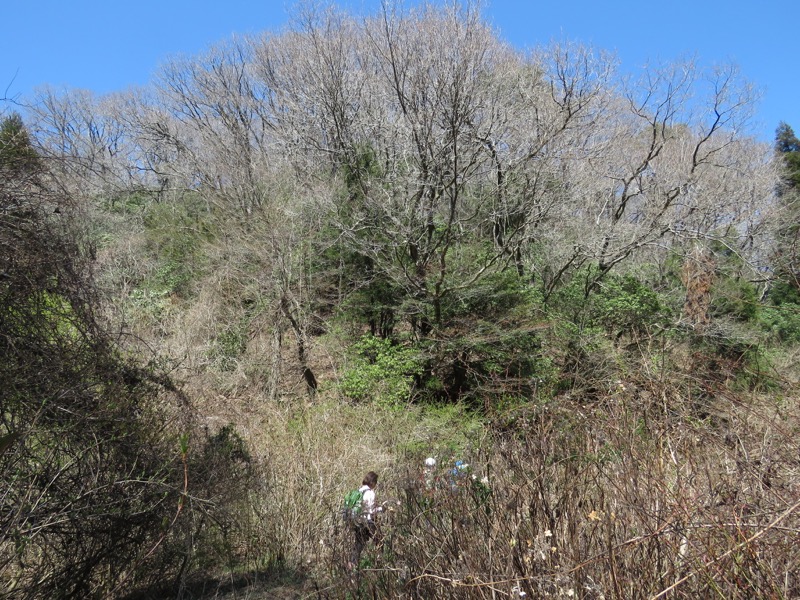 御岩山・登山