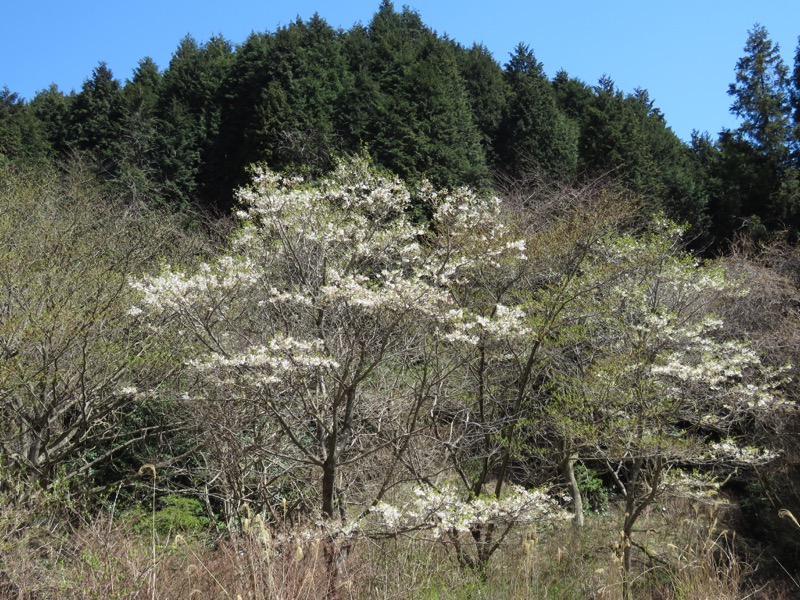 御岩山・登山