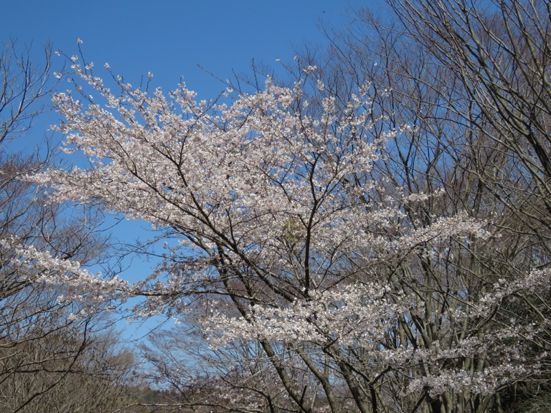 御岩山・登山