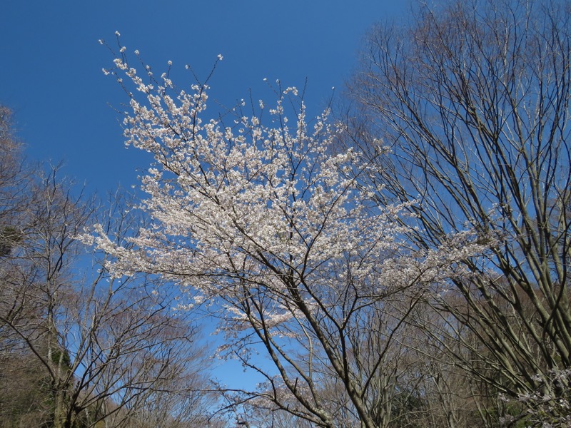 御岩山・登山