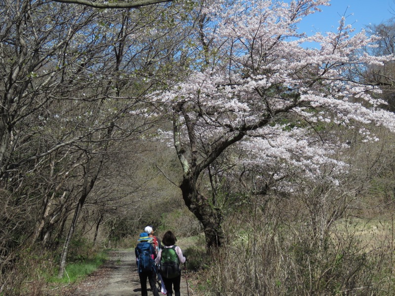 御岩山・登山
