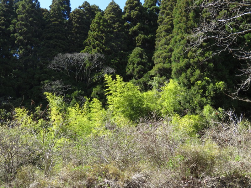 御岩山・登山
