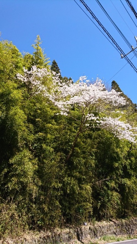 御岩山・登山