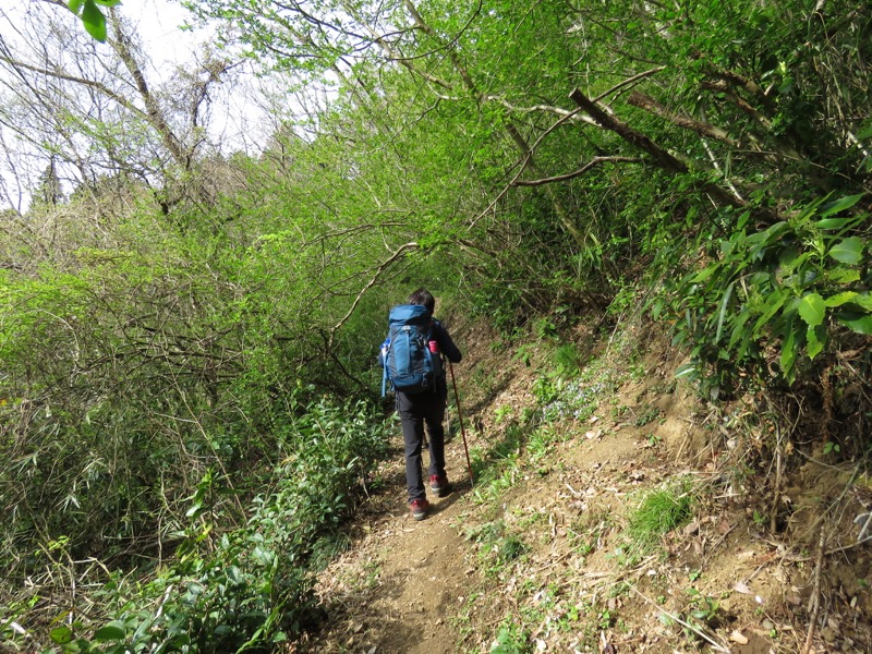 男体山〜袋田の滝・登山