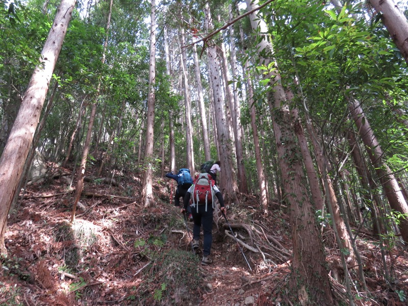 男体山〜袋田の滝・登山