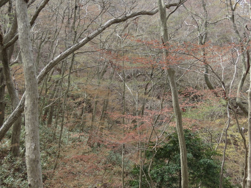 男体山〜袋田の滝・登山