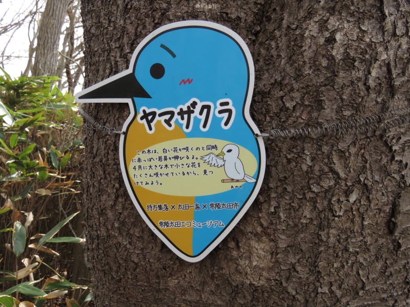 男体山〜袋田の滝・登山