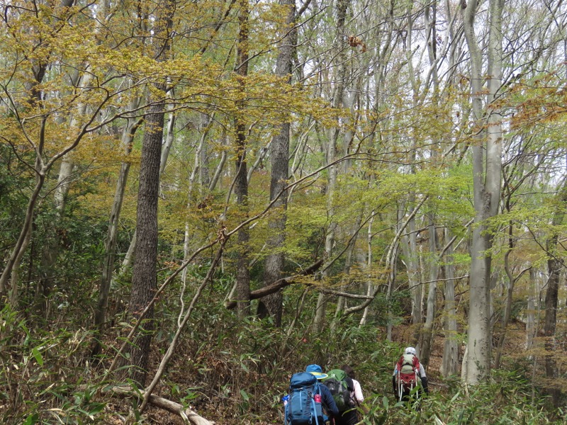 男体山〜袋田の滝・登山