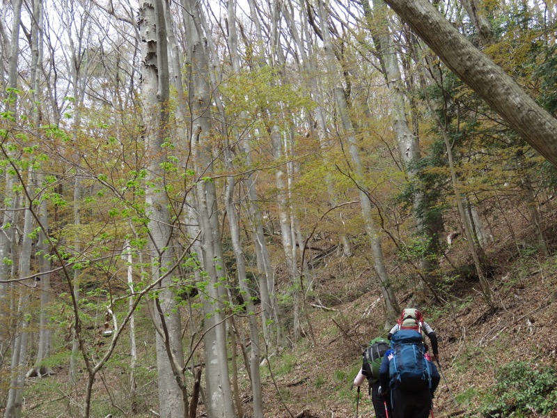 男体山〜袋田の滝・登山