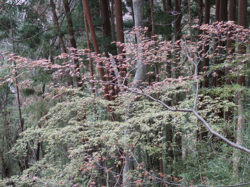 男体山〜袋田の滝・登山