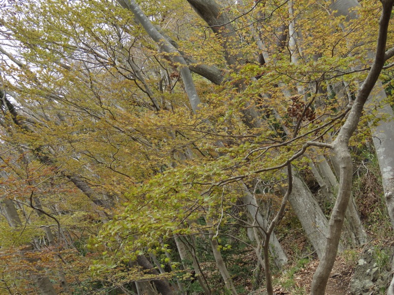 男体山〜袋田の滝・登山