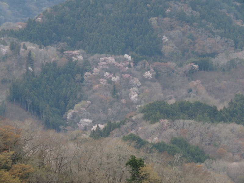 男体山〜袋田の滝・登山