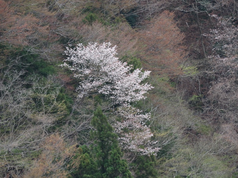 男体山〜袋田の滝・登山