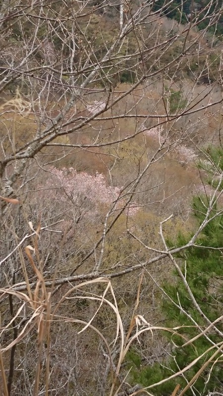男体山〜袋田の滝・登山