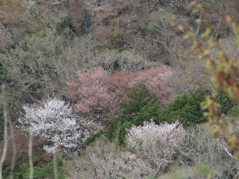 男体山〜袋田の滝・登山