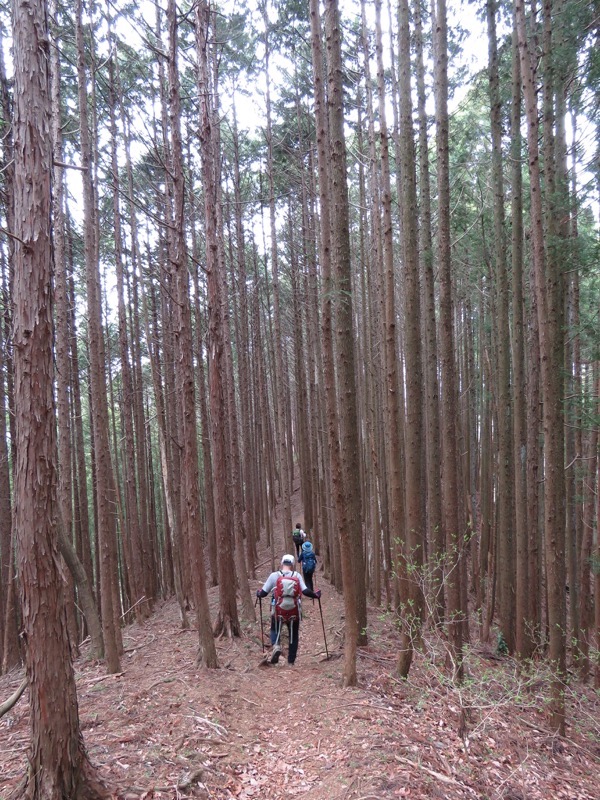 男体山〜袋田の滝・登山