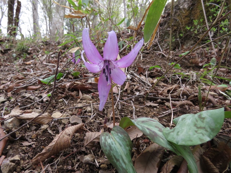 男体山〜袋田の滝・登山