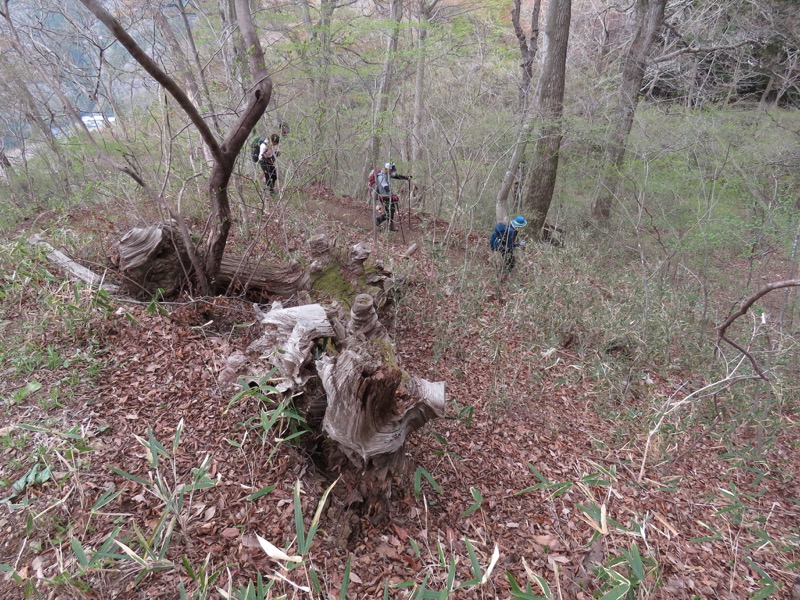 男体山〜袋田の滝・登山
