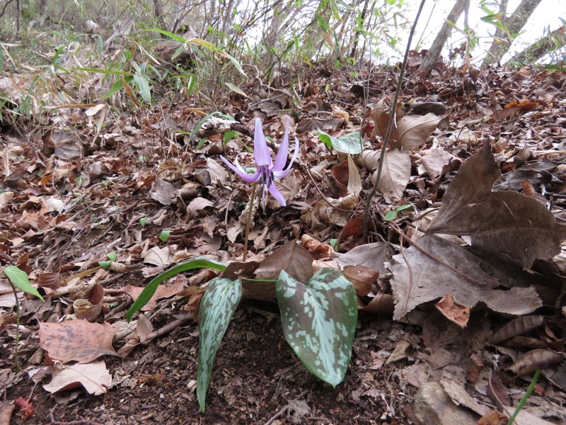 男体山〜袋田の滝・登山
