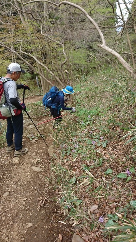 男体山〜袋田の滝・登山