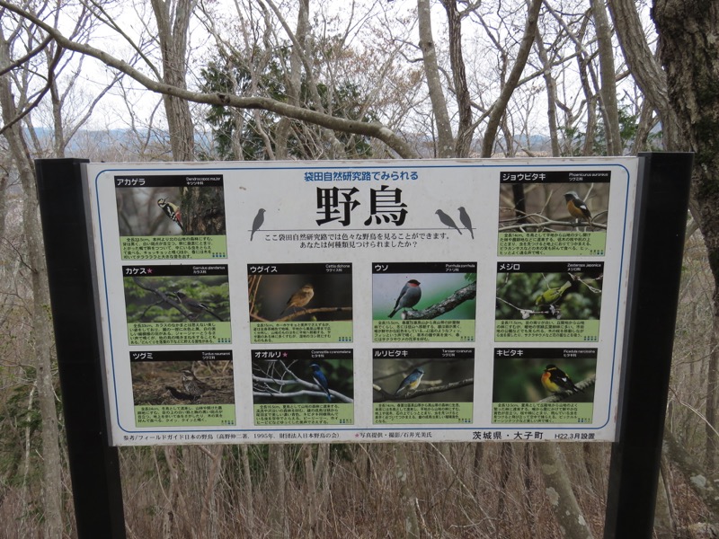 男体山〜袋田の滝・登山