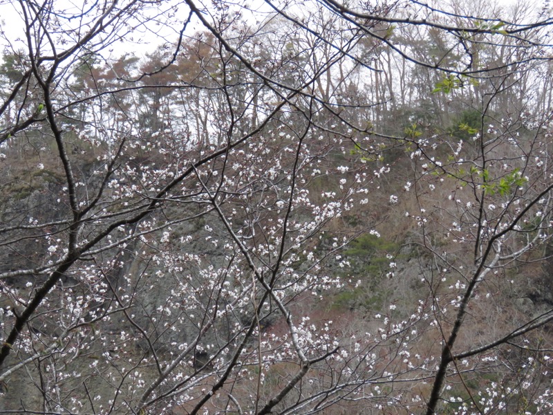 男体山〜袋田の滝・登山