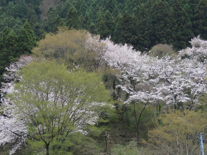 男体山〜袋田の滝・登山